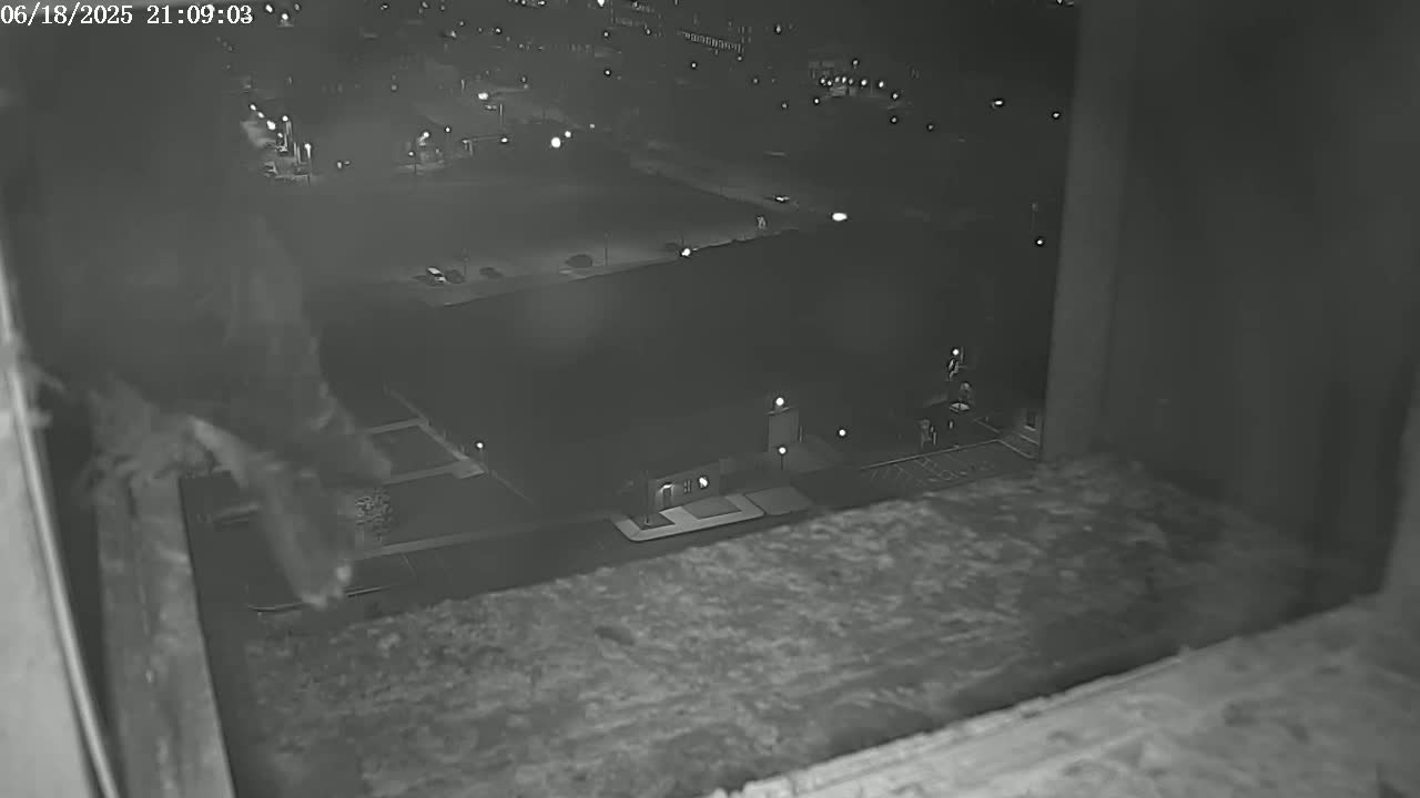 New Hampshire , Manchester City Skyline & Falcons Life Live Cam 2 - Manchester, Hillsborough, New Hampshire, USA