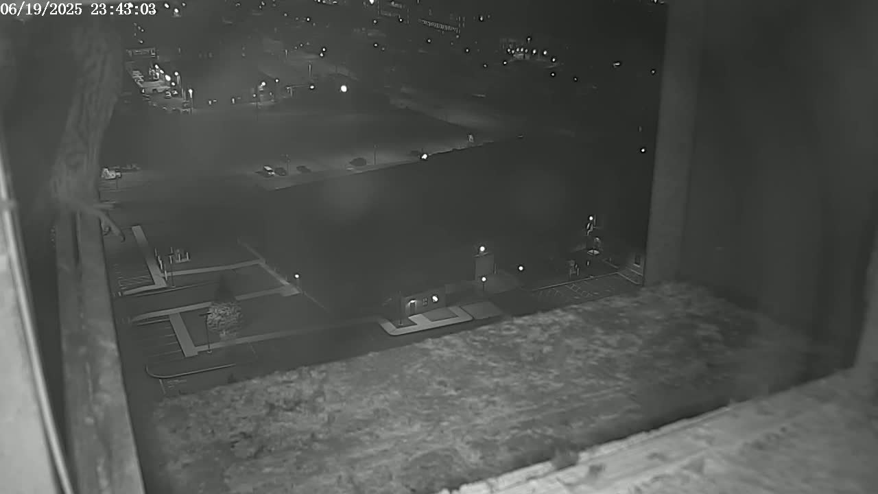 New Hampshire , Manchester City Skyline & Falcons Life Live Cam 2 - Manchester, Hillsborough, New Hampshire, USA