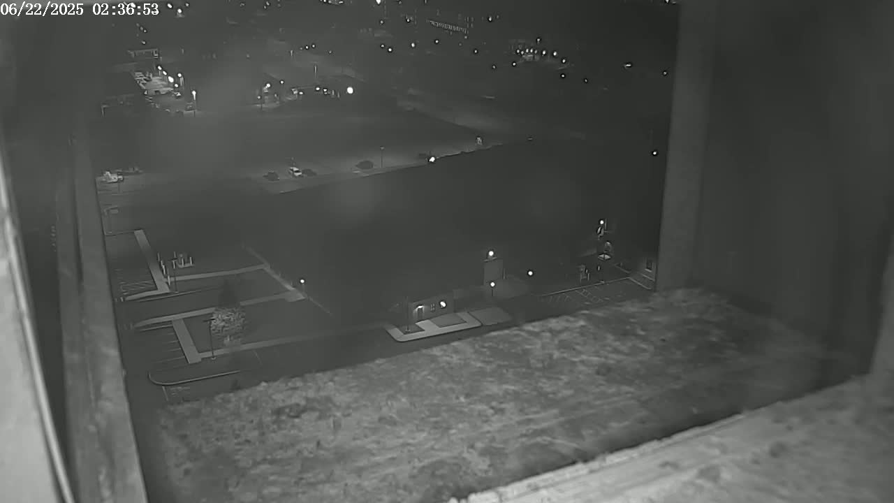 New Hampshire , Manchester City Skyline & Falcons Life Live Cam 2 - Manchester, Hillsborough, New Hampshire, USA