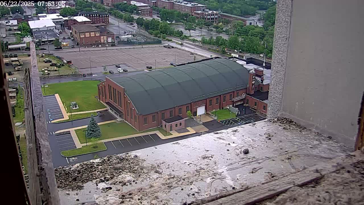 A view from a high vantage point shows a large brick building with a green roof, surrounded by parking lots and grassy areas, under overcast skies.