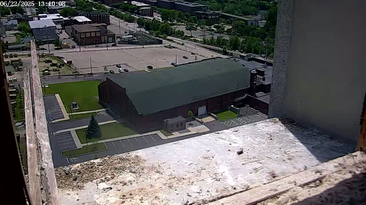 A high-angle, sunny view shows a large brick building with a dark green roof, surrounded by a parking lot and patchy grass, next to other buildings and a street.