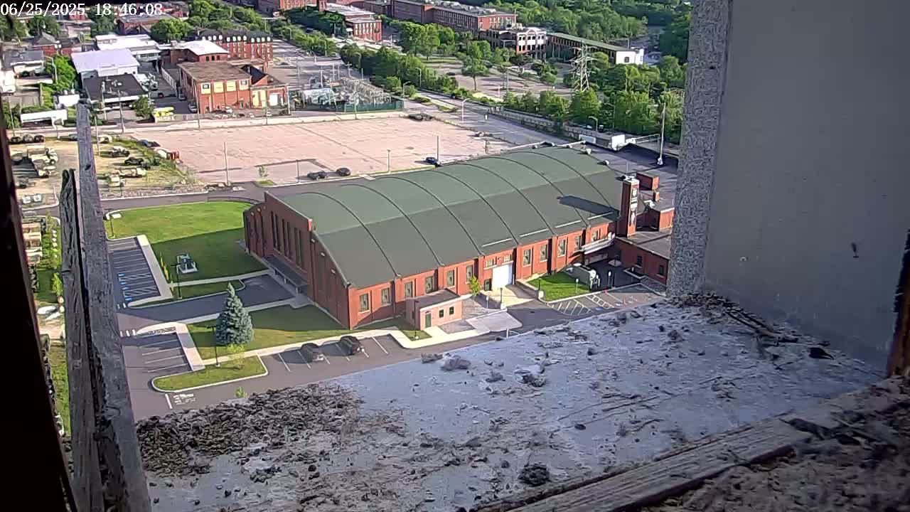 New Hampshire , Manchester City Skyline & Falcons Life Live Cam 2 - Manchester, Hillsborough, New Hampshire, USA