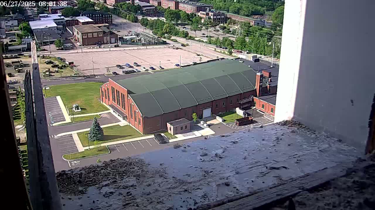 New Hampshire , Manchester City Skyline & Falcons Life Live Cam 2 - Manchester, Hillsborough, New Hampshire, USA