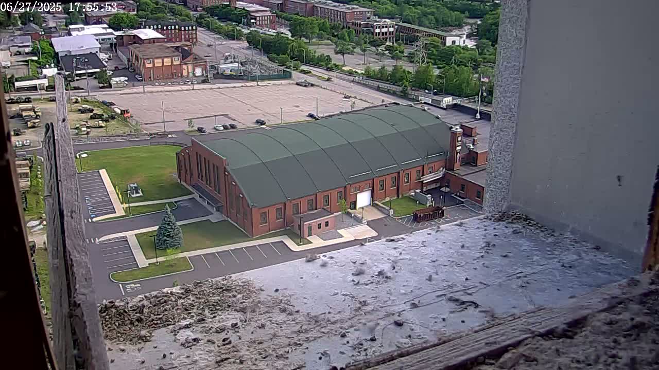New Hampshire , Manchester City Skyline & Falcons Life Live Cam 2 - Manchester, Hillsborough, New Hampshire, USA