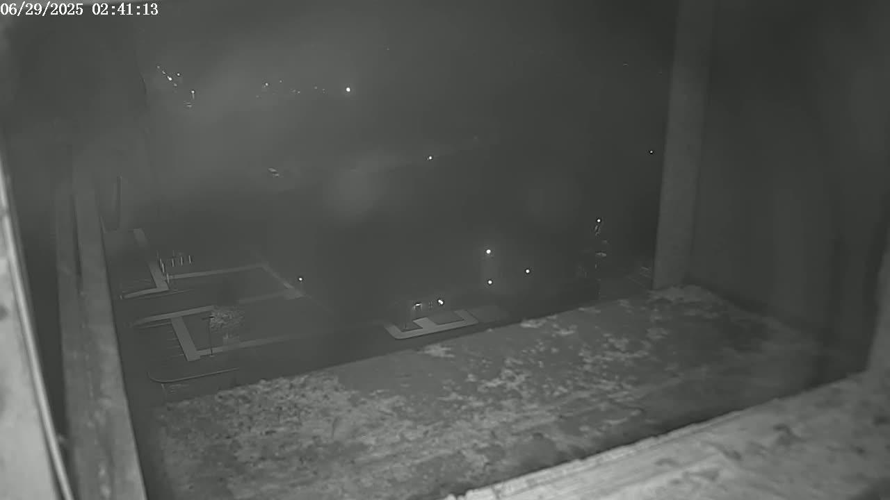 New Hampshire , Manchester City Skyline & Falcons Life Live Cam 2 - Manchester, Hillsborough, New Hampshire, USA