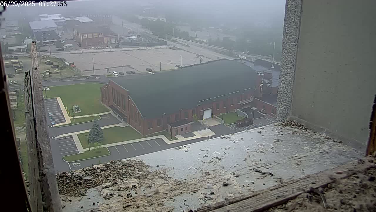 New Hampshire , Manchester City Skyline & Falcons Life Live Cam 2 - Manchester, Hillsborough, New Hampshire, USA