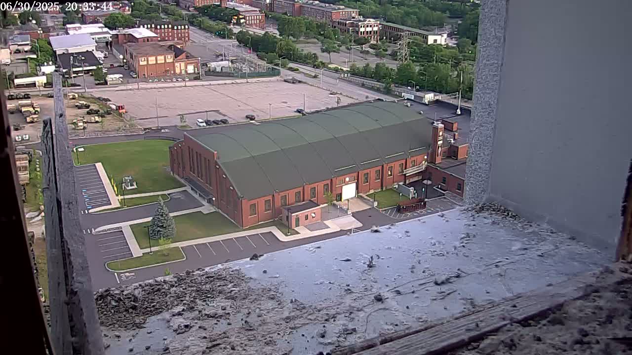 New Hampshire , Manchester City Skyline & Falcons Life Live Cam 2 - Manchester, Hillsborough, New Hampshire, USA