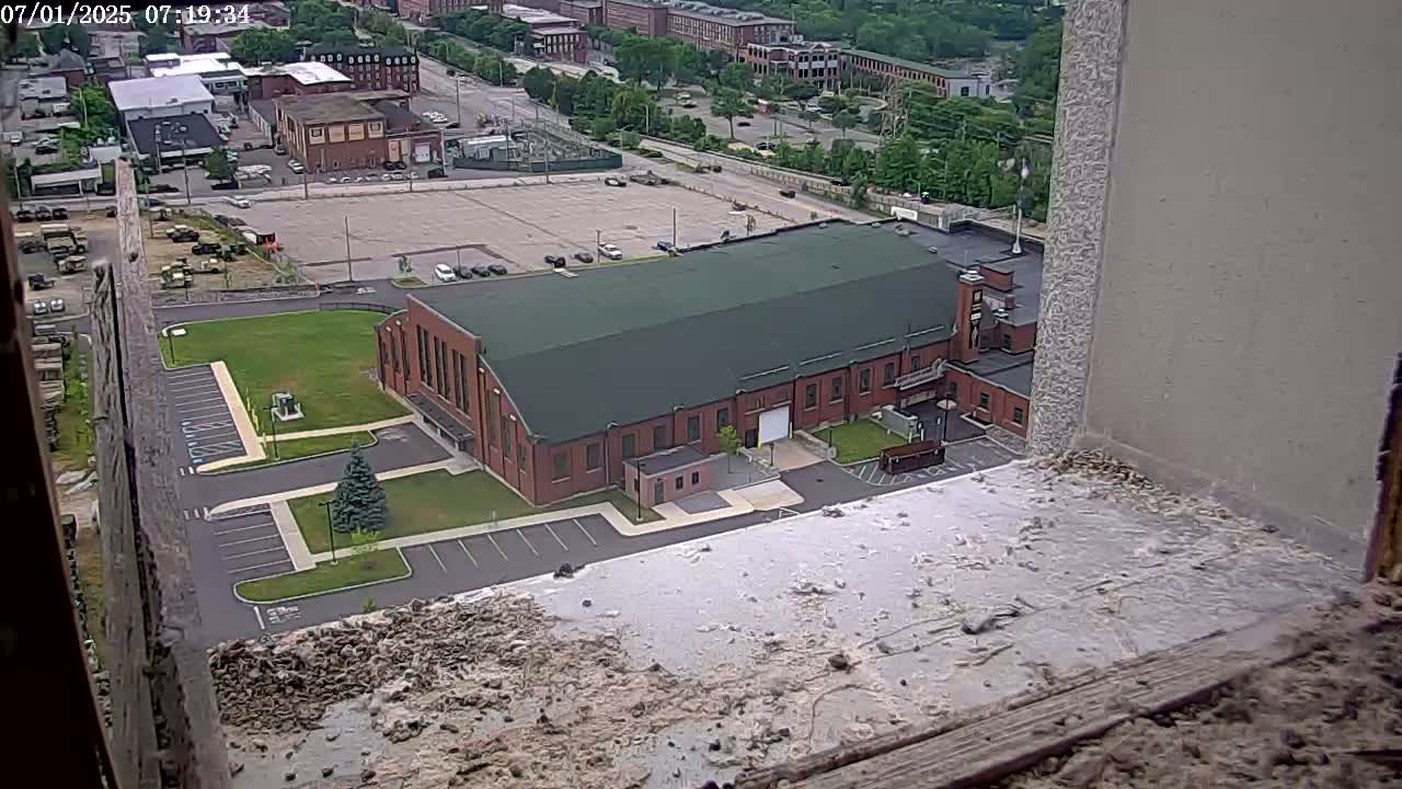 New Hampshire , Manchester City Skyline & Falcons Life Live Cam 2 - Manchester, Hillsborough, New Hampshire, USA