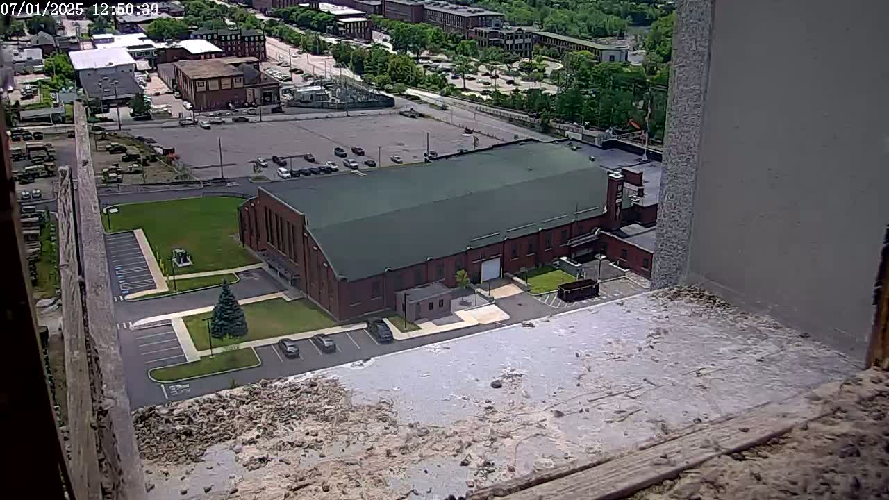 New Hampshire , Manchester City Skyline & Falcons Life Live Cam 2 - Manchester, Hillsborough, New Hampshire, USA