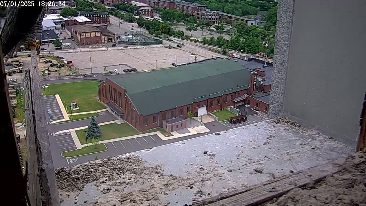 New Hampshire , Manchester City Skyline & Falcons Life Live Cam 2 - Manchester, Hillsborough, New Hampshire, USA