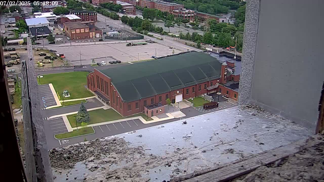 New Hampshire , Manchester City Skyline & Falcons Life Live Cam 2 - Manchester, Hillsborough, New Hampshire, USA