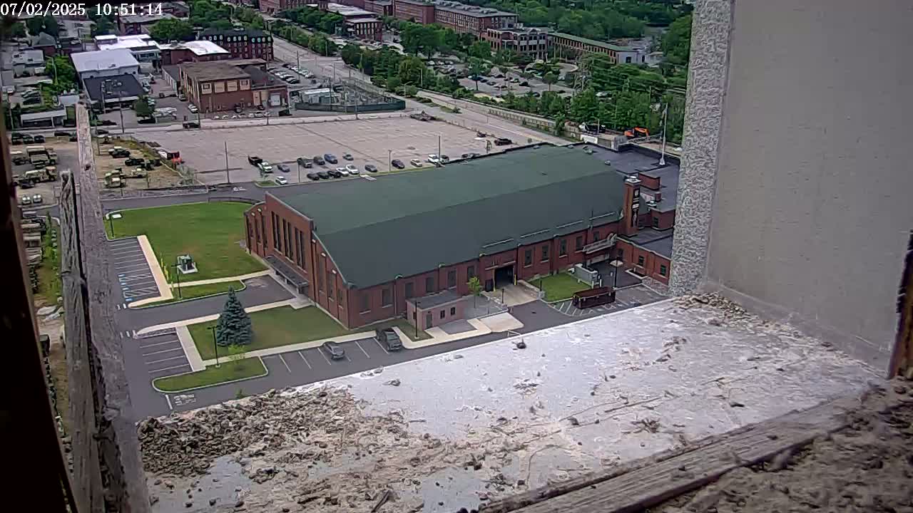 New Hampshire , Manchester City Skyline & Falcons Life Live Cam 2 - Manchester, Hillsborough, New Hampshire, USA