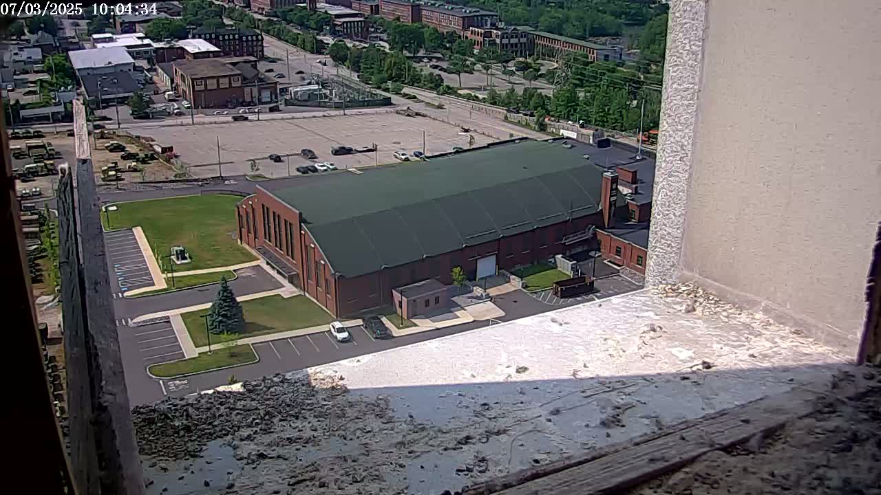 New Hampshire , Manchester City Skyline & Falcons Life Live Cam 2 - Manchester, Hillsborough, New Hampshire, USA