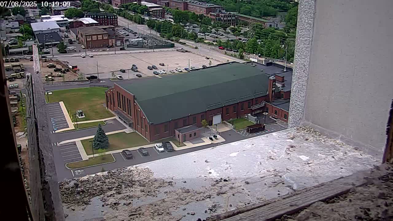 New Hampshire , Manchester City Skyline & Falcons Life Live Cam 2 - Manchester, Hillsborough, New Hampshire, USA