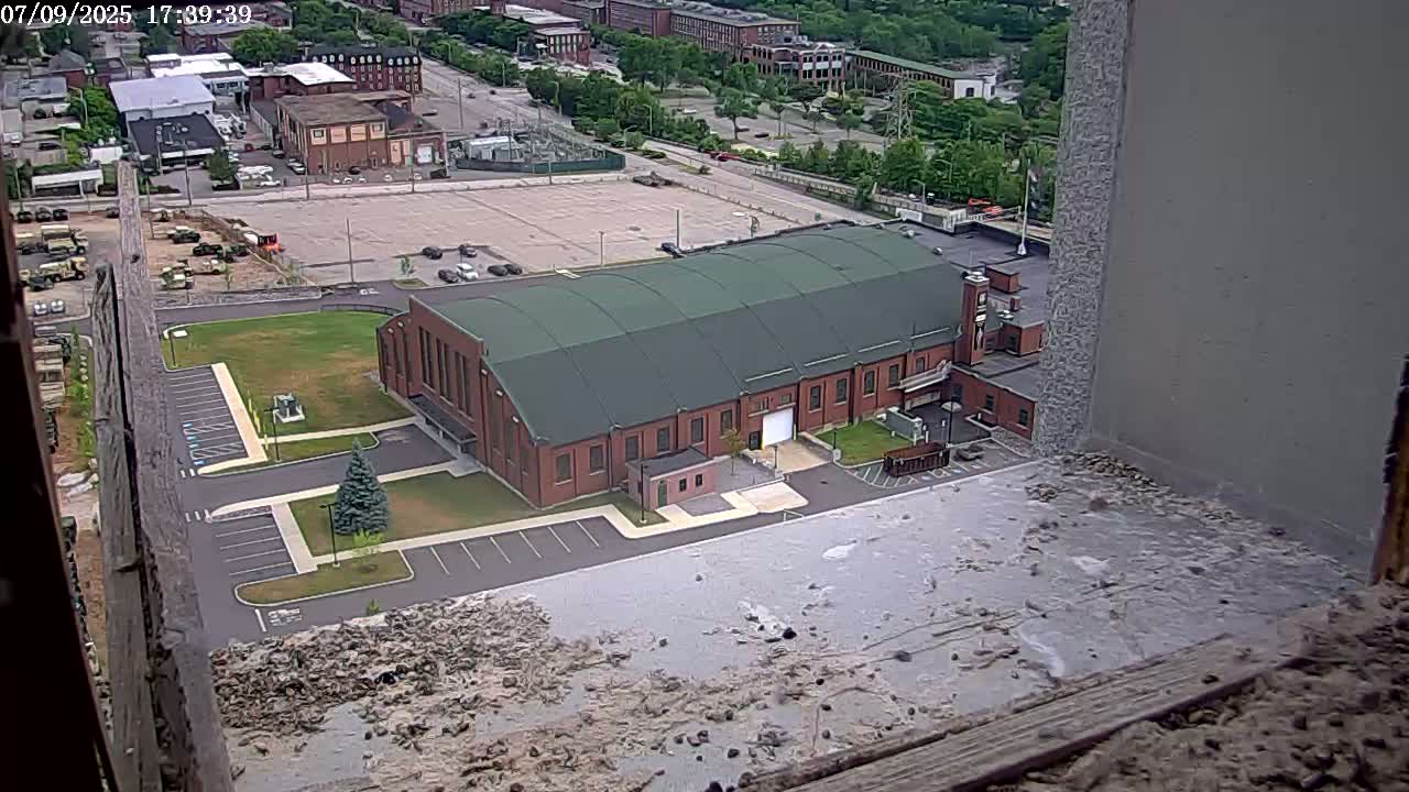 New Hampshire , Manchester City Skyline & Falcons Life Live Cam 2 - Manchester, Hillsborough, New Hampshire, USA