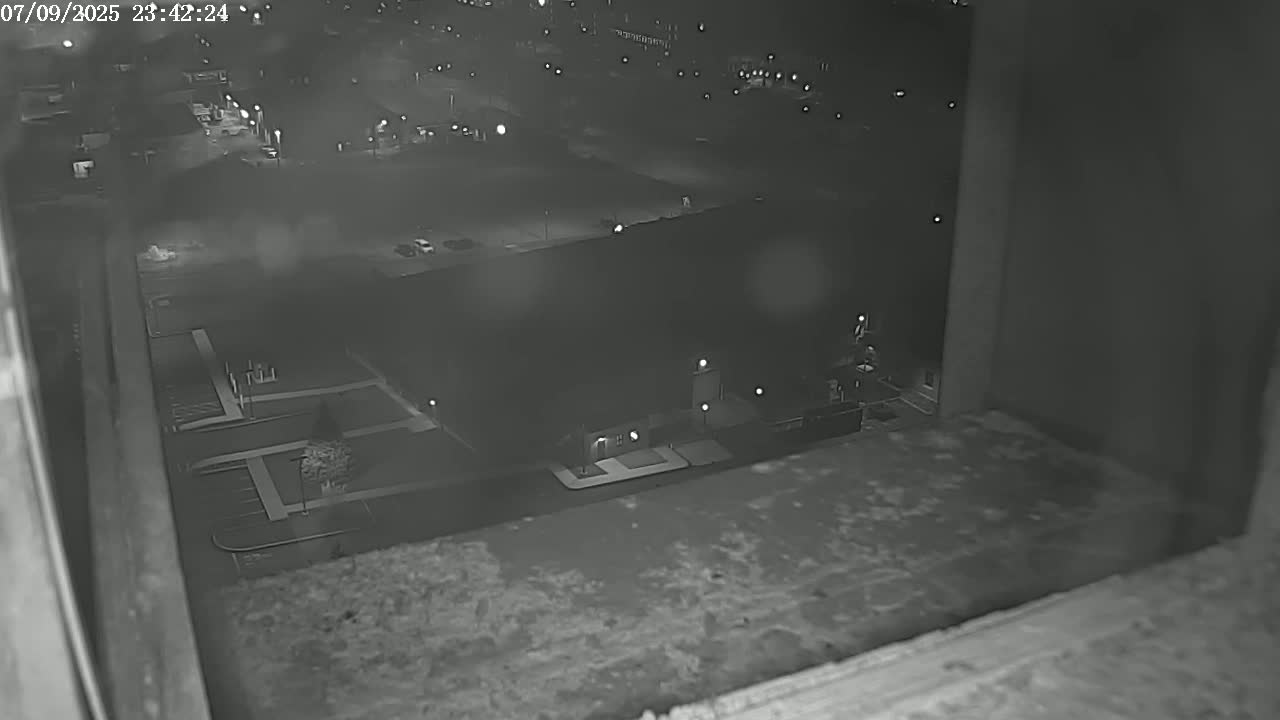 New Hampshire , Manchester City Skyline & Falcons Life Live Cam 2 - Manchester, Hillsborough, New Hampshire, USA
