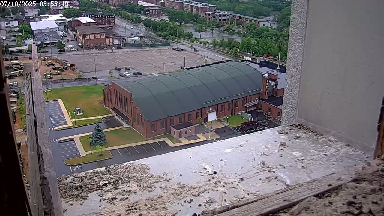 New Hampshire , Manchester City Skyline & Falcons Life Live Cam 2 - Manchester, Hillsborough, New Hampshire, USA