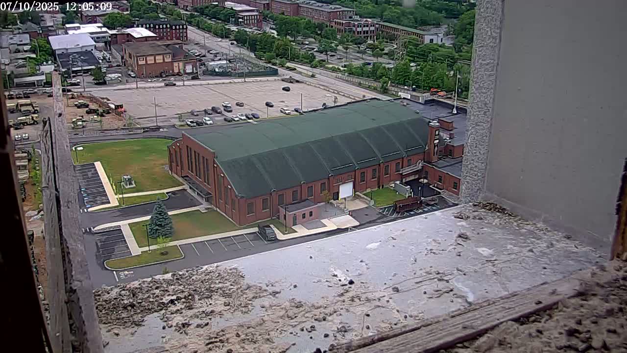 New Hampshire , Manchester City Skyline & Falcons Life Live Cam 2 - Manchester, Hillsborough, New Hampshire, USA