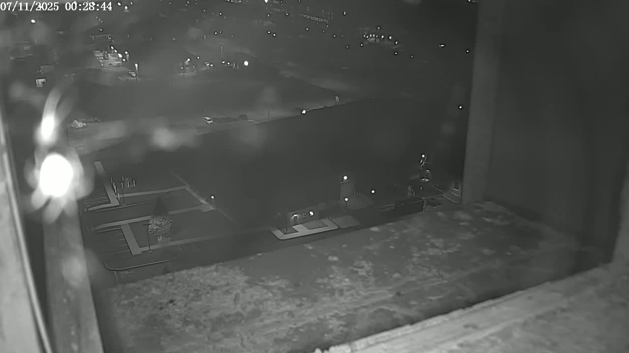 New Hampshire , Manchester City Skyline & Falcons Life Live Cam 2 - Manchester, Hillsborough, New Hampshire, USA