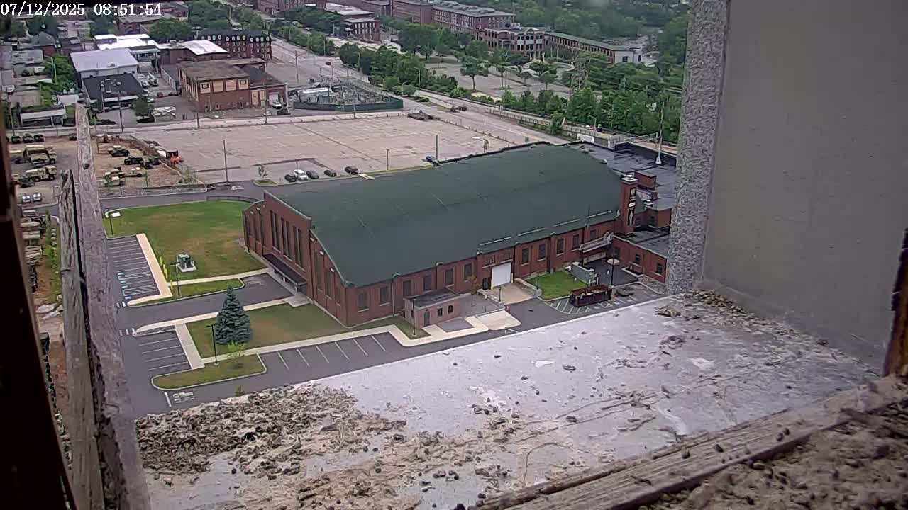 New Hampshire , Manchester City Skyline & Falcons Life Live Cam 2 - Manchester, Hillsborough, New Hampshire, USA