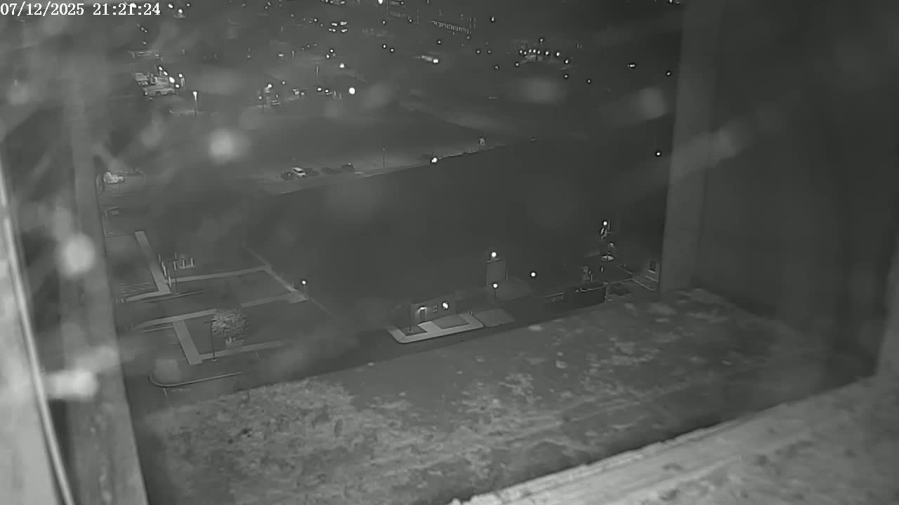 New Hampshire , Manchester City Skyline & Falcons Life Live Cam 2 - Manchester, Hillsborough, New Hampshire, USA