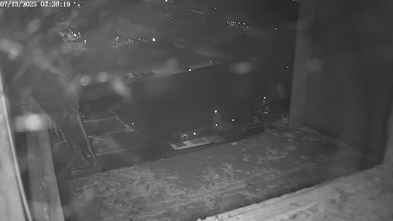 A nighttime, hazy view from a high vantage point shows a dark building and a parking lot with scattered lights.