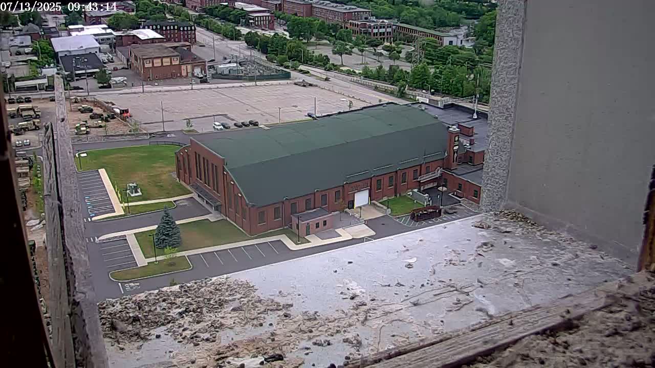 New Hampshire , Manchester City Skyline & Falcons Life Live Cam 2 - Manchester, Hillsborough, New Hampshire, USA