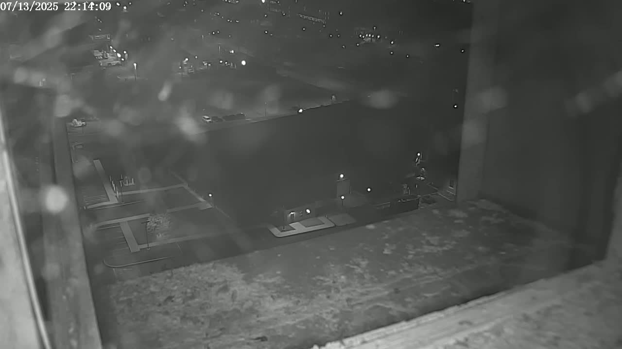 New Hampshire , Manchester City Skyline & Falcons Life Live Cam 2 - Manchester, Hillsborough, New Hampshire, USA