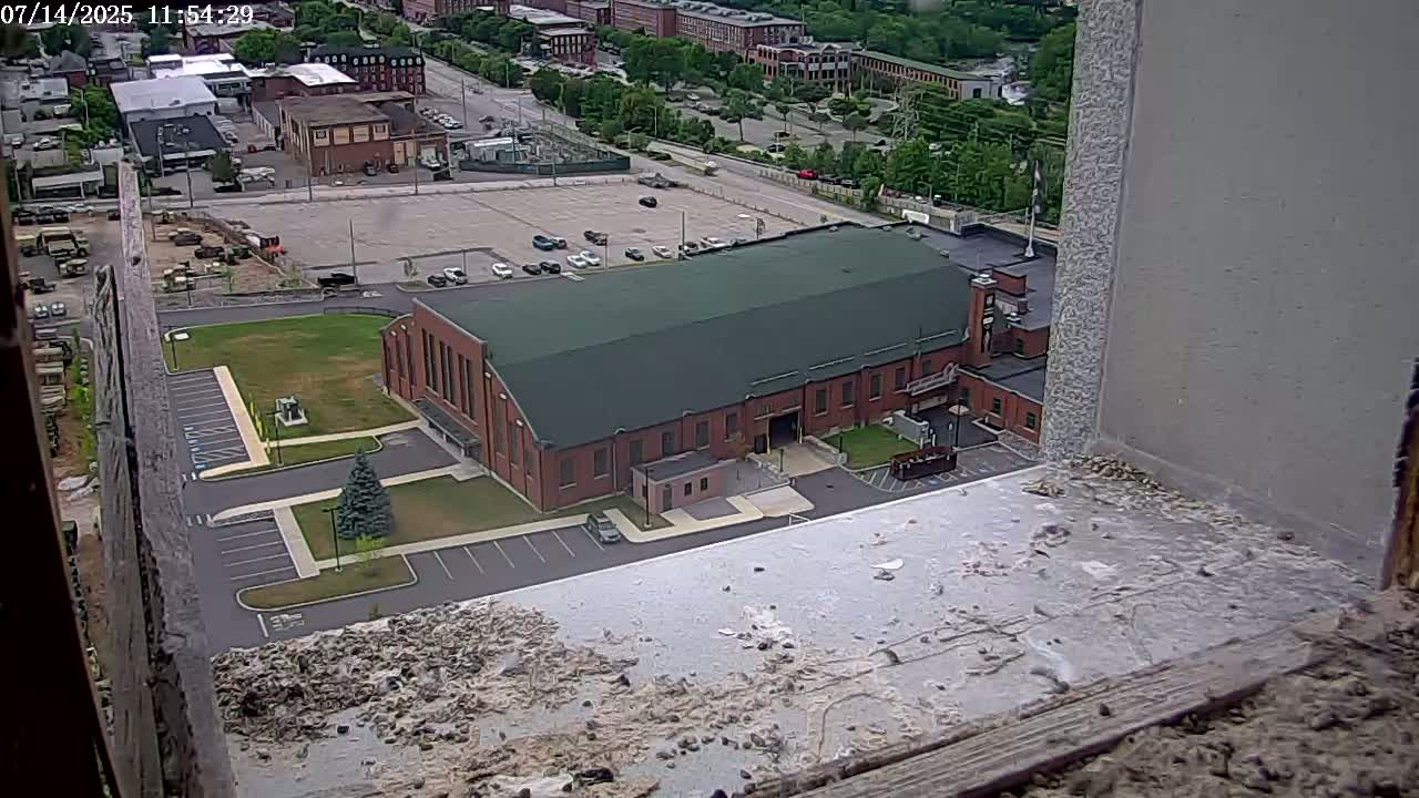 New Hampshire , Manchester City Skyline & Falcons Life Live Cam 2 - Manchester, Hillsborough, New Hampshire, USA