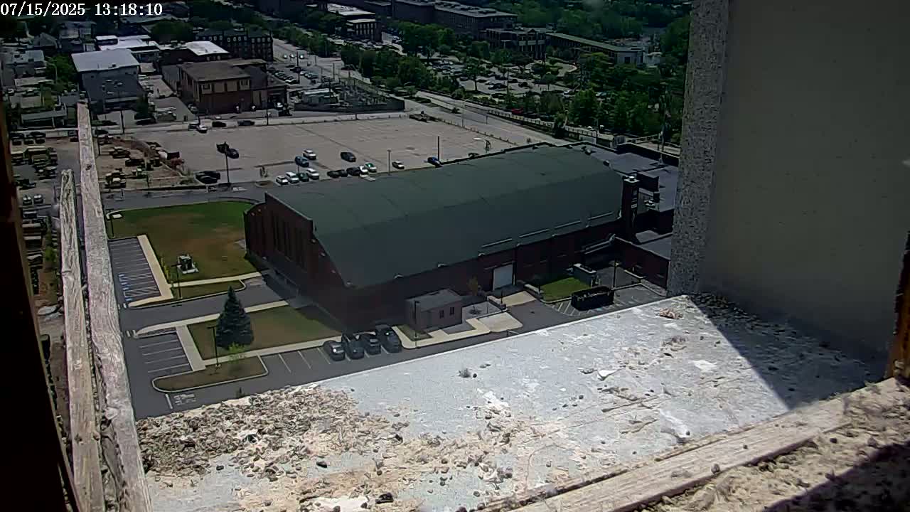 New Hampshire , Manchester City Skyline & Falcons Life Live Cam 2 - Manchester, Hillsborough, New Hampshire, USA