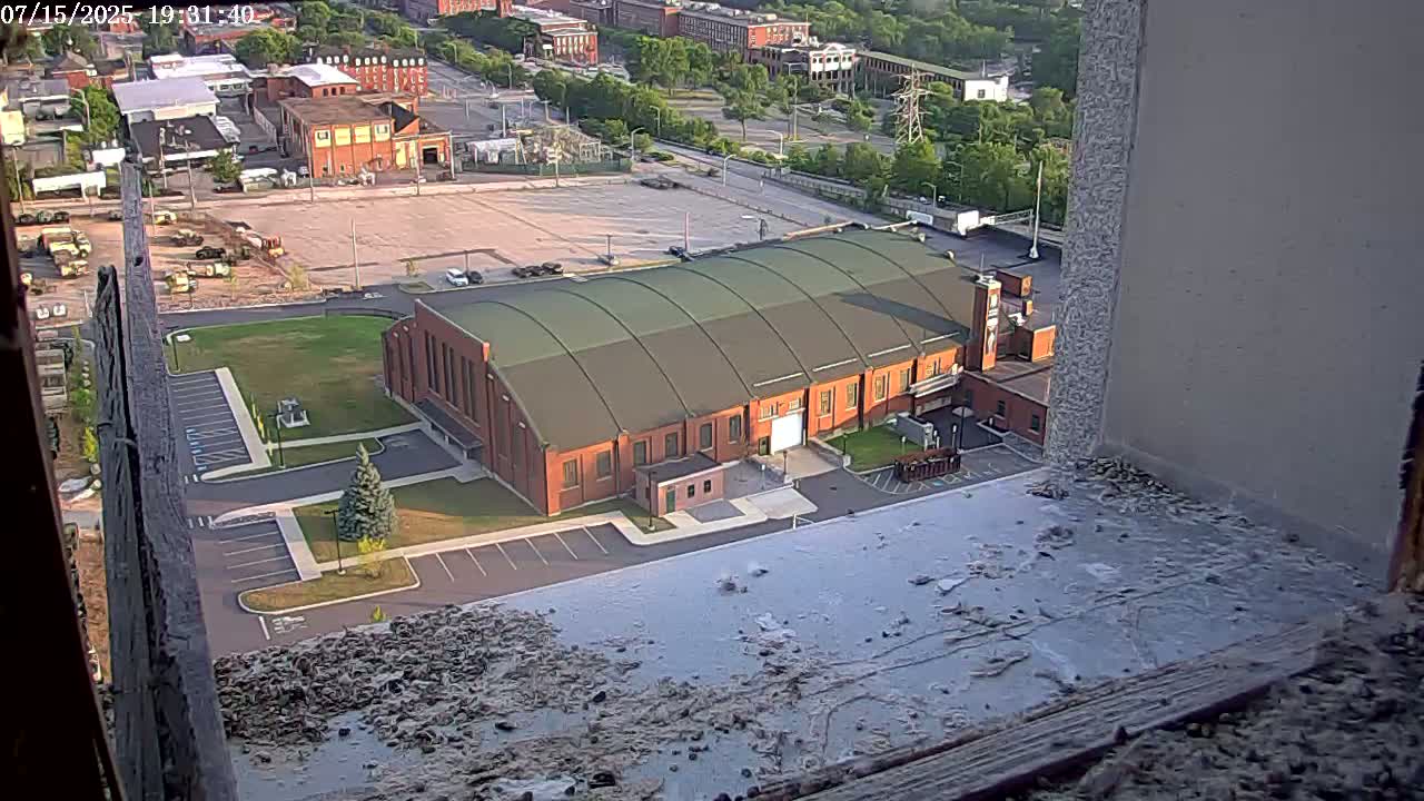 New Hampshire , Manchester City Skyline & Falcons Life Live Cam 2 - Manchester, Hillsborough, New Hampshire, USA