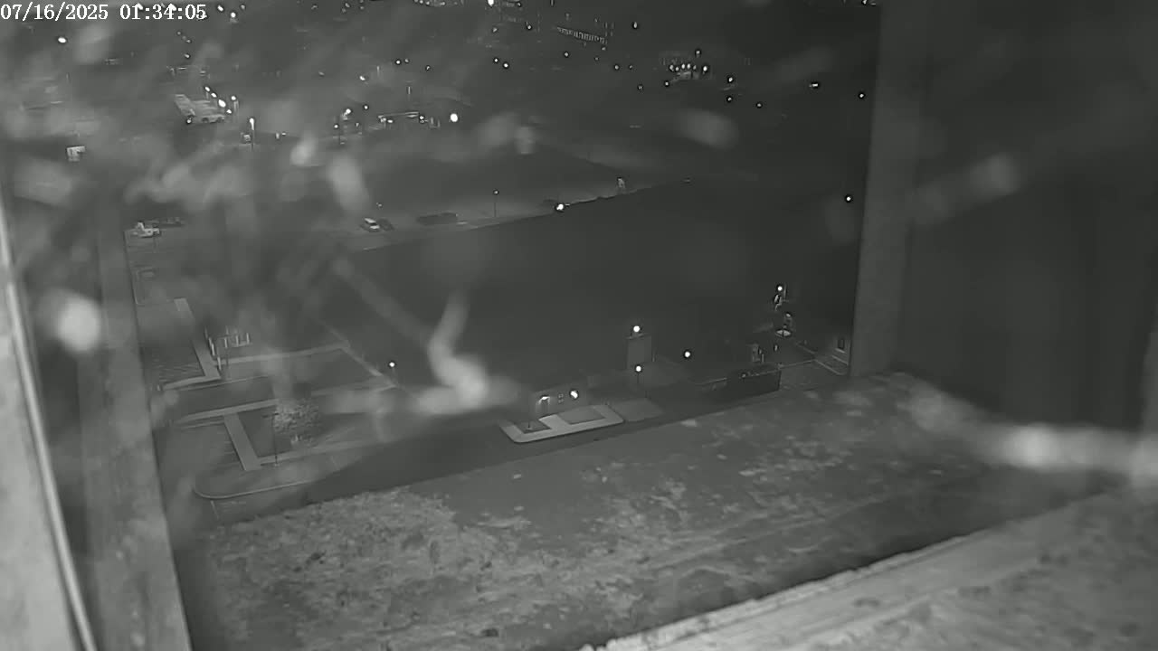 New Hampshire , Manchester City Skyline & Falcons Life Live Cam 2 - Manchester, Hillsborough, New Hampshire, USA