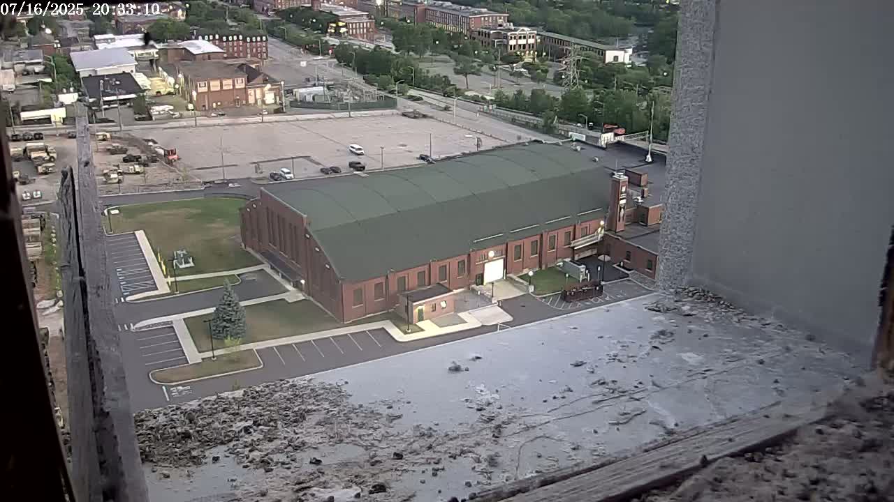 New Hampshire , Manchester City Skyline & Falcons Life Live Cam 2 - Manchester, Hillsborough, New Hampshire, USA