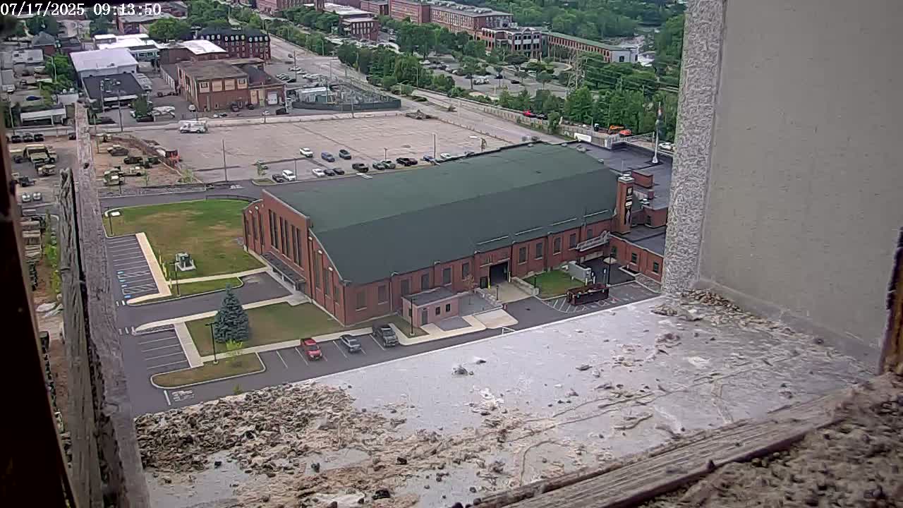 New Hampshire , Manchester City Skyline & Falcons Life Live Cam 2 - Manchester, Hillsborough, New Hampshire, USA