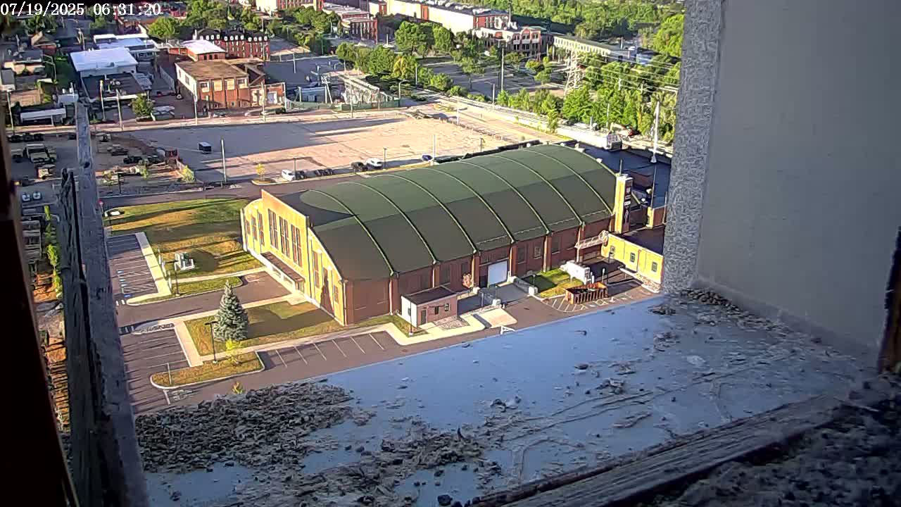 New Hampshire , Manchester City Skyline & Falcons Life Live Cam 2 - Manchester, Hillsborough, New Hampshire, USA