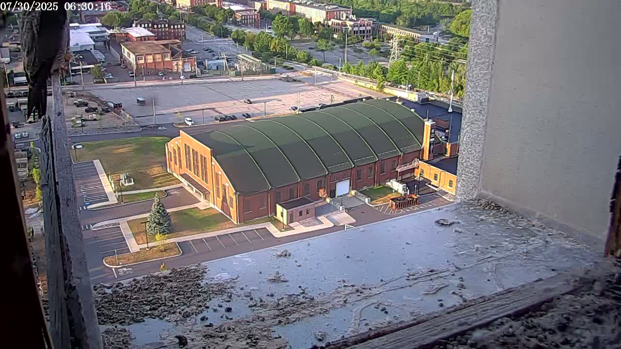 New Hampshire , Manchester City Skyline & Falcons Life Live Cam 2 - Manchester, Hillsborough, New Hampshire, USA