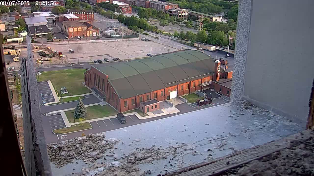 New Hampshire , Manchester City Skyline & Falcons Life Live Cam 2 - Manchester, Hillsborough, New Hampshire, USA