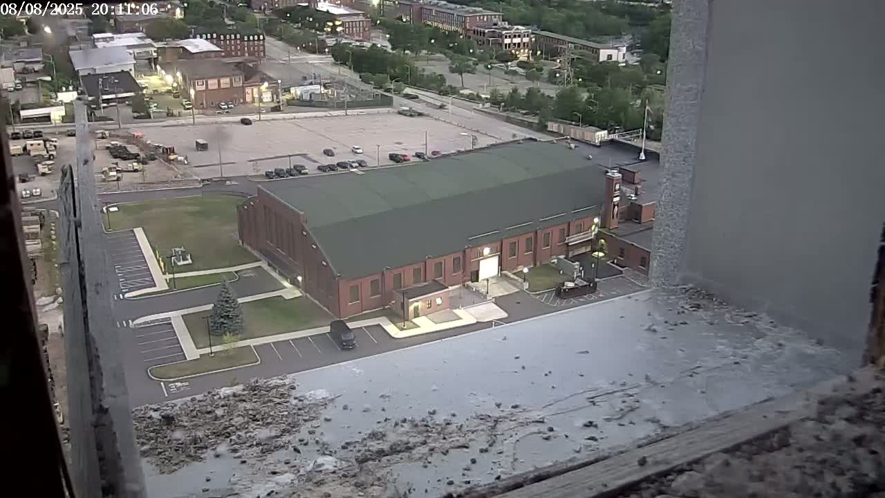 New Hampshire , Manchester City Skyline & Falcons Life Live Cam 2 - Manchester, Hillsborough, New Hampshire, USA