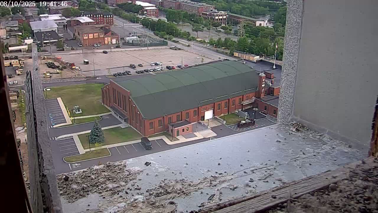 New Hampshire , Manchester City Skyline & Falcons Life Live Cam 2 - Manchester, Hillsborough, New Hampshire, USA
