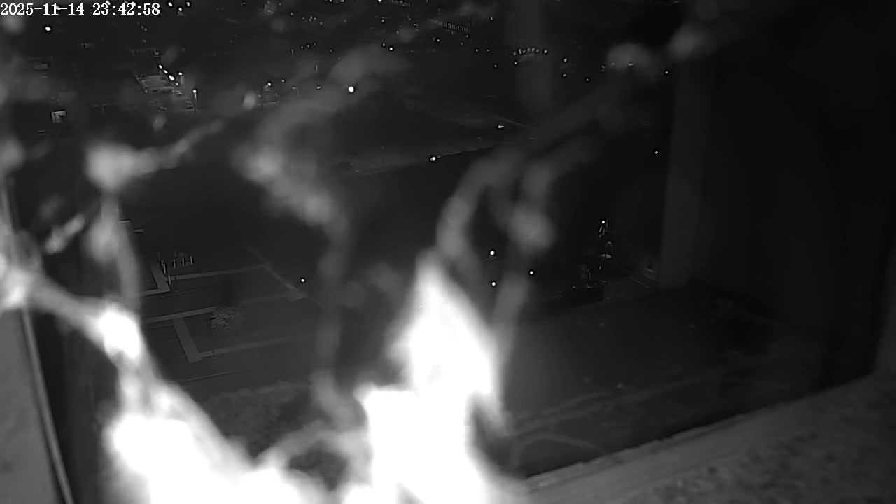 New Hampshire , Manchester City Skyline & Falcons Life Live Cam 2 - Manchester, Hillsborough, New Hampshire, USA