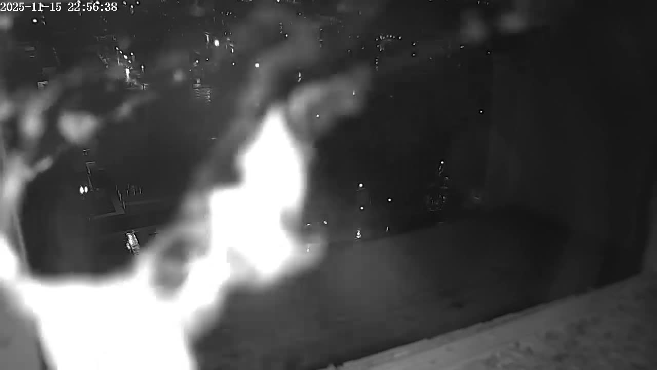 New Hampshire , Manchester City Skyline & Falcons Life Live Cam 2 - Manchester, Hillsborough, New Hampshire, USA