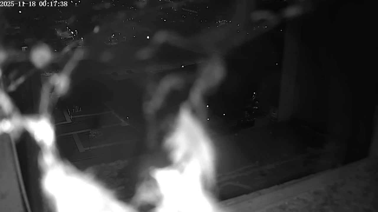 New Hampshire , Manchester City Skyline & Falcons Life Live Cam 2 - Manchester, Hillsborough, New Hampshire, USA