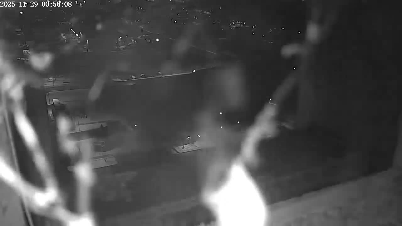 New Hampshire , Manchester City Skyline & Falcons Life Live Cam 2 - Manchester, Hillsborough, New Hampshire, USA