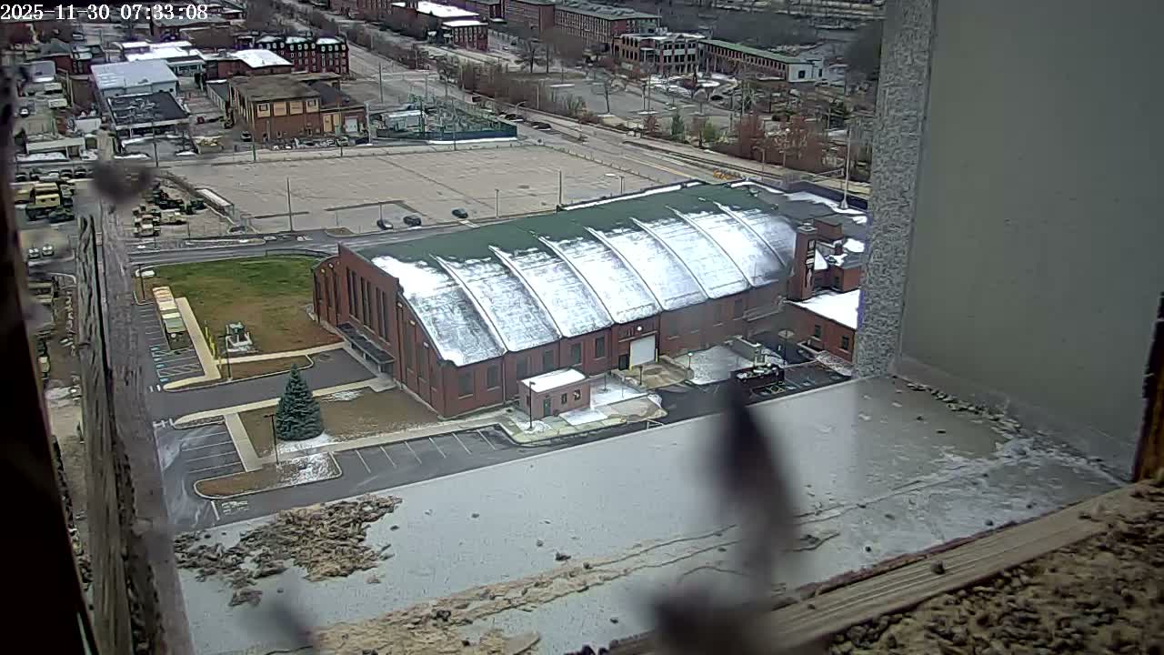 New Hampshire , Manchester City Skyline & Falcons Life Live Cam 2 - Manchester, Hillsborough, New Hampshire, USA