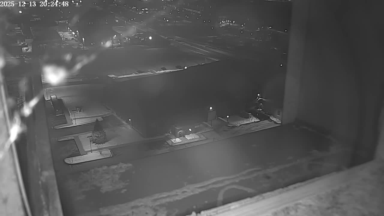 New Hampshire , Manchester City Skyline & Falcons Life Live Cam 2 - Manchester, Hillsborough, New Hampshire, USA