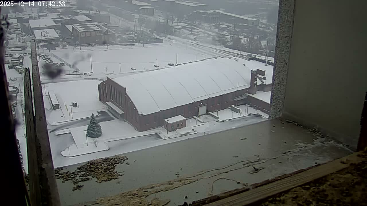 An elevated, grayscale nighttime view of a city street and buildings is partially obscured by blurry raindrops on the camera lens, indicating a rainy evening.