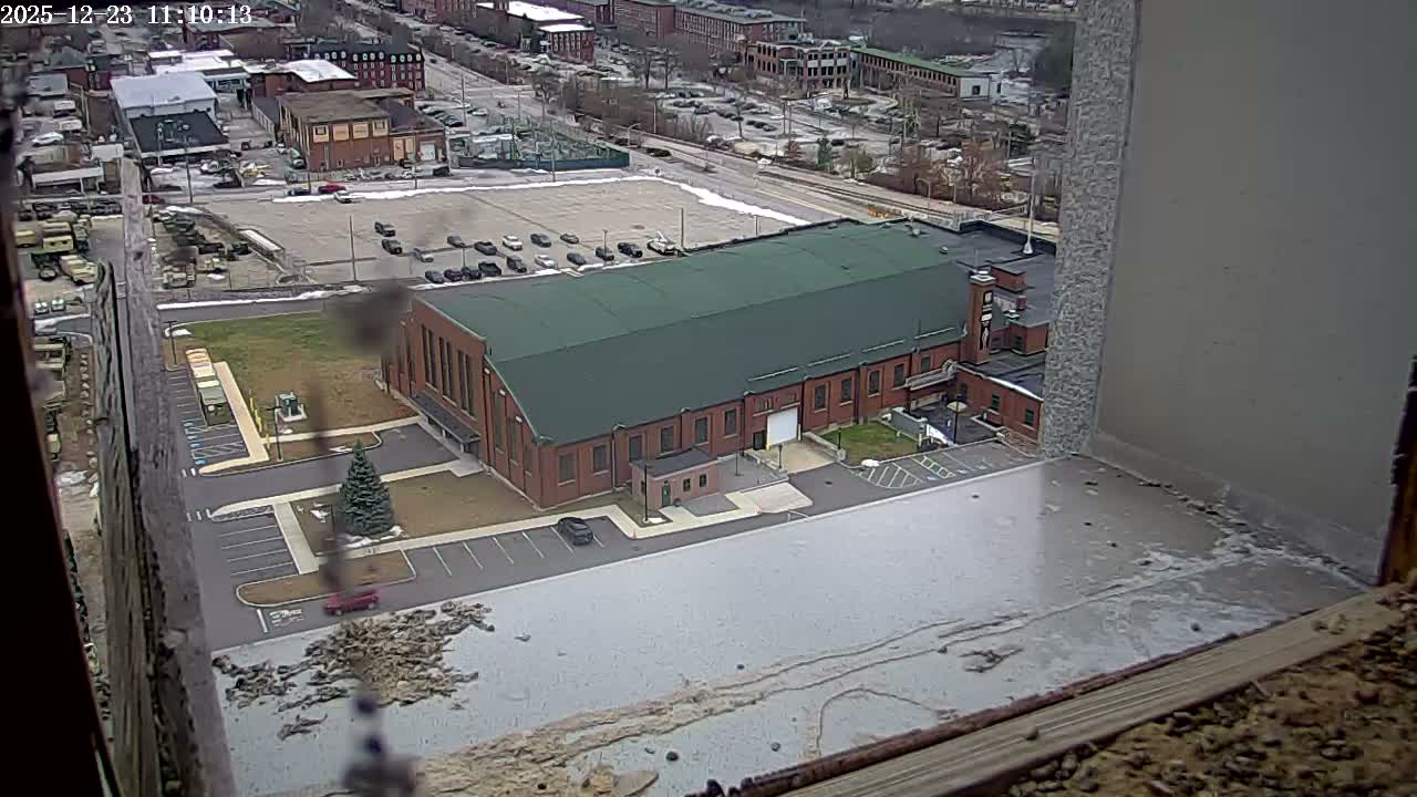 New Hampshire , Manchester City Skyline & Falcons Life Live Cam 2 - Manchester, Hillsborough, New Hampshire, USA