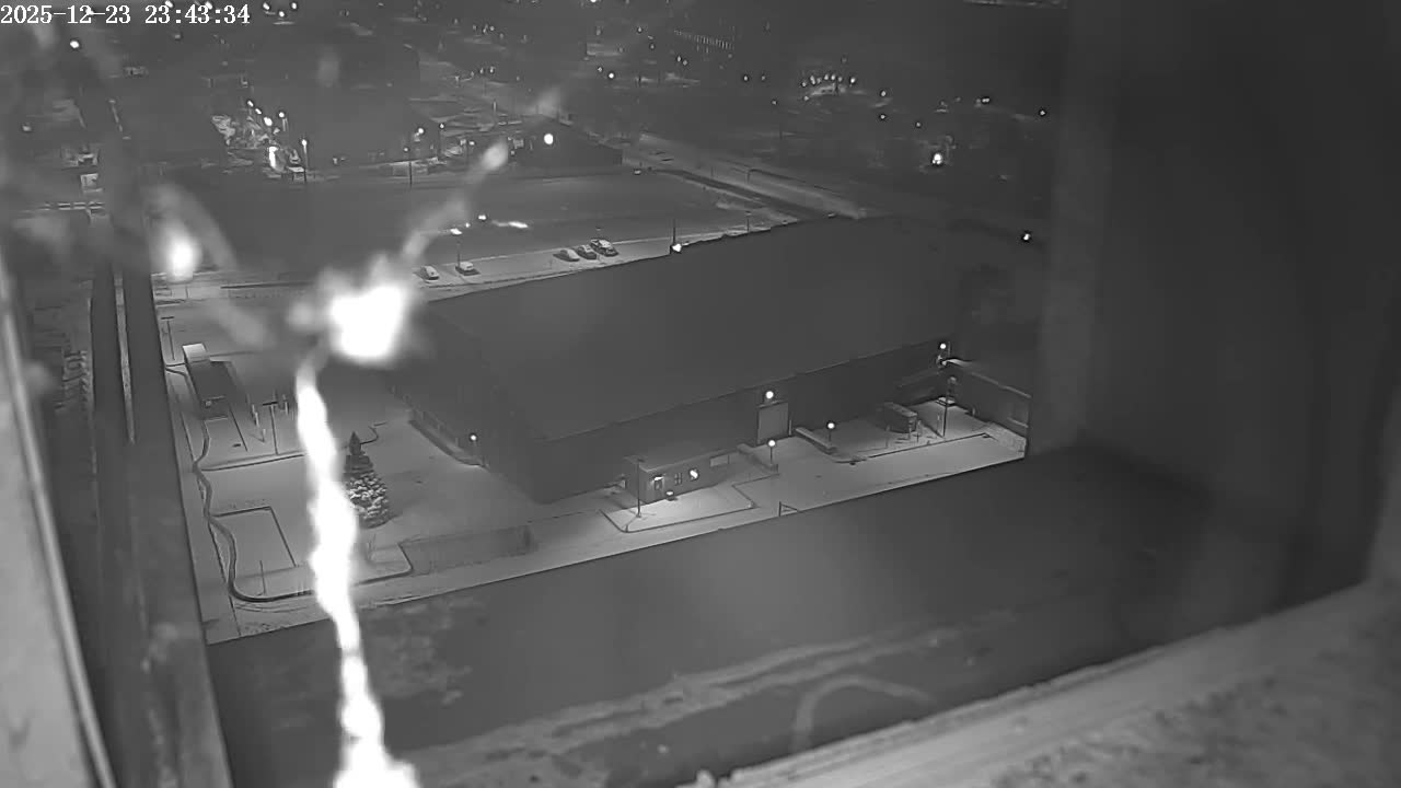 New Hampshire , Manchester City Skyline & Falcons Life Live Cam 2 - Manchester, Hillsborough, New Hampshire, USA
