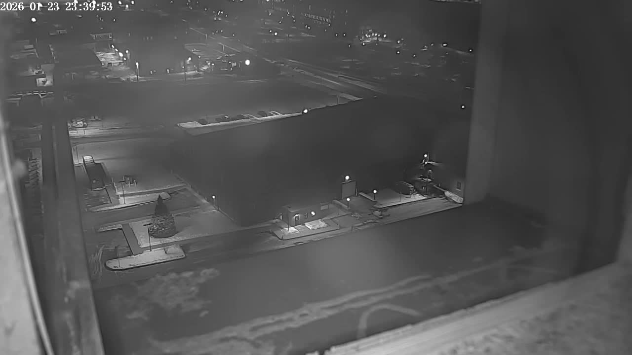 New Hampshire , Manchester City Skyline & Falcons Life Live Cam 2 - Manchester, Hillsborough, New Hampshire, USA