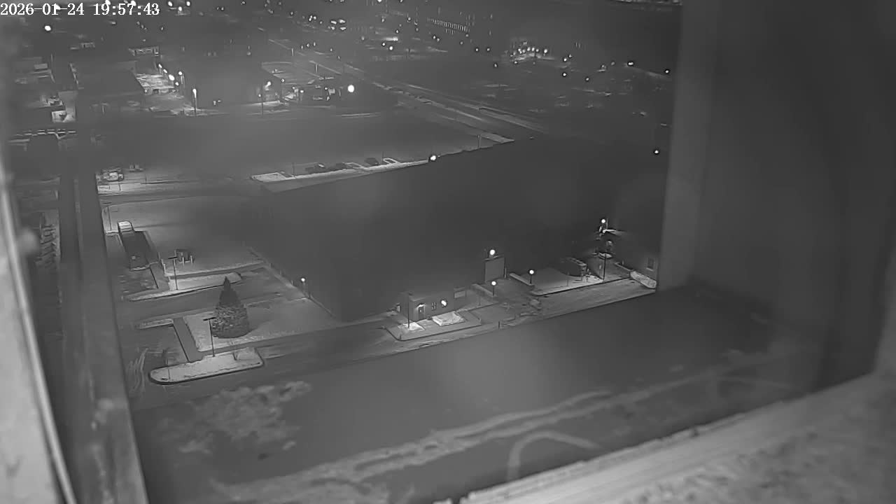 New Hampshire , Manchester City Skyline & Falcons Life Live Cam 2 - Manchester, Hillsborough, New Hampshire, USA